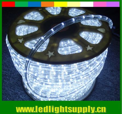 luce a corda a LED a prova d'acqua IP65 1/2'' 2 filo 220v multicolore duralight
