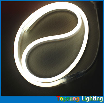 Shenzhen LED neon light 8.5*17mm dimensione LED neon rope light