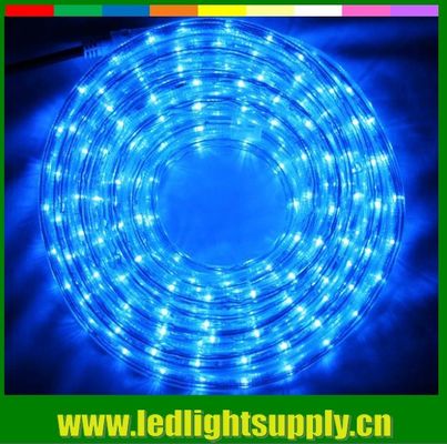 luce blu per decorazioni esterne 2 fili 12/24V luce flessibile a corda