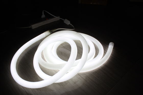 Decorazione in colore bianco a 24 V, luce a neon rotonda a 360 gradi per esterni