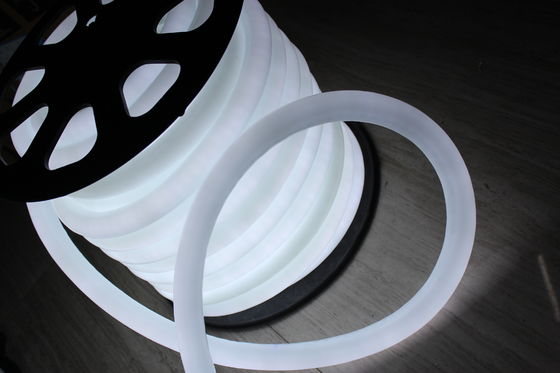 Decorazione in colore bianco a 24 V, luce a neon rotonda a 360 gradi per esterni