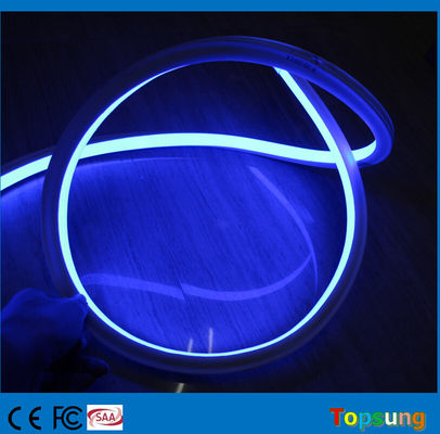 Nuovo design blu quadrato 16*16m 220v flessibile quadrato led neon flex light