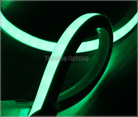 in vendita al dettaglio verde quadrato 16*16m 220v flessibile LED neon flex luce per la casa