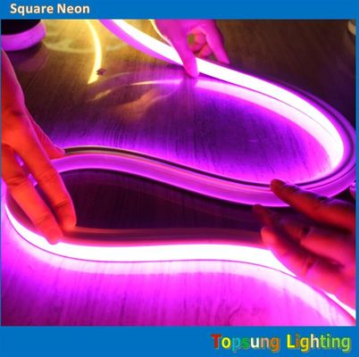 100v 16*16m a neon rosa a LED a strisce flessibile per esterni