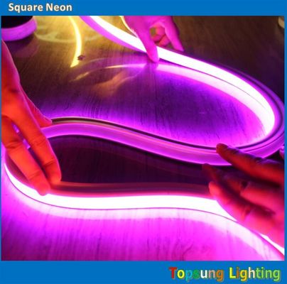 100v 16*16m a neon rosa a LED a strisce flessibile per esterni