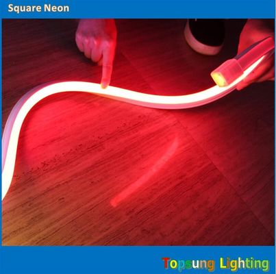 Incredibile quadrato rosso a 12 V, LED a neon flessibile 16*16mspool.