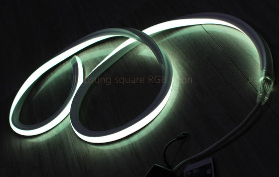 Hot sale RGB 16*16m 127V lampada a neon piatta fatta in Cina