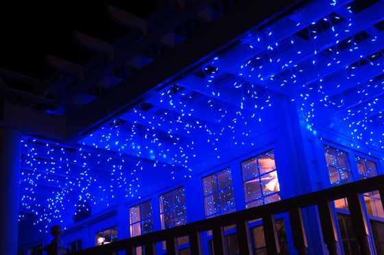 2016 nuova progettazione 240V luci di Natale impermeabile luci di ghiaccio esterno per edifici
