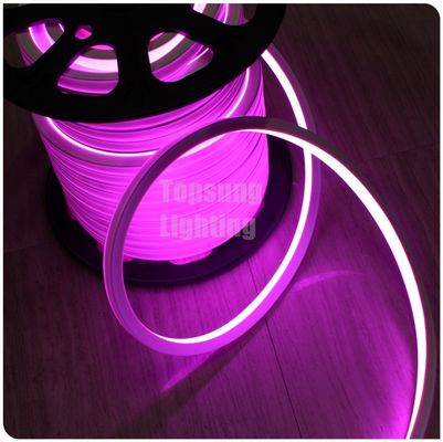 colore rosa DC 24V LED neon flex 16x16mm quadrato corda di neon piatta IP68 decorazione di illuminazione esterna