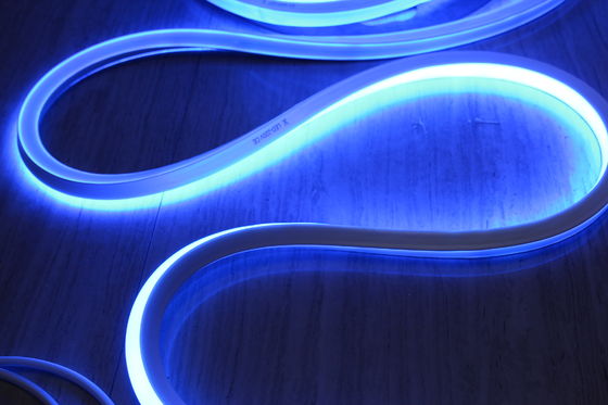 Super luminoso quadrato 220v Blu Flessibile Led Neon Rope IP68 impermeabile