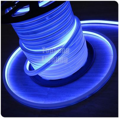 SMD 2835 promozionale blu quadrato LED neon luce flessibile 16x16mm 12v per edifici
