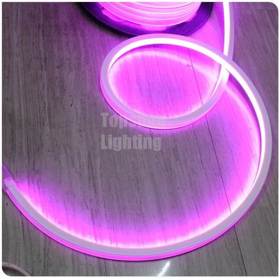 Nuovo quadrato rosa 2016 12v 16*16m LED neon flex luce per stanza