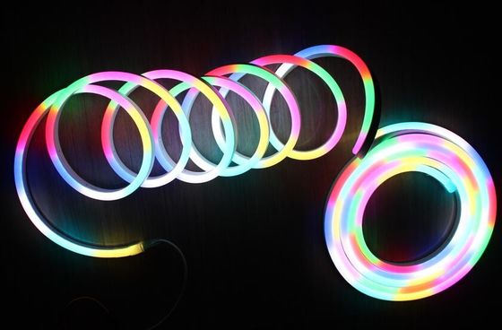 Decorazione esteriore RGB digitale LED luci di neon flex di Natale