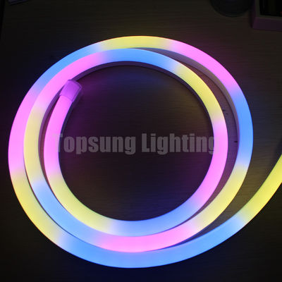 Bello colore RGB che cambia 24V digitale pieghevole LED neon flex luci striscia