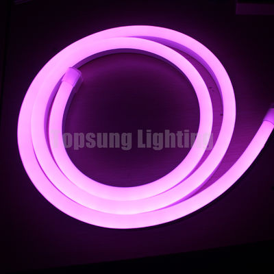 Bello colore RGB che cambia 24V digitale pieghevole LED neon flex luci striscia