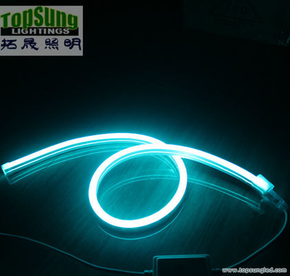 mini 8x16mm pubblicità flessibile LED neon striscia RGB colore che cambia 110V