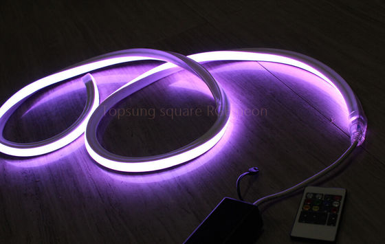 LED quadrato Strip RGB Neon Flex Rope Light Ignifuga 220V Flessibile Illuminazione esterna