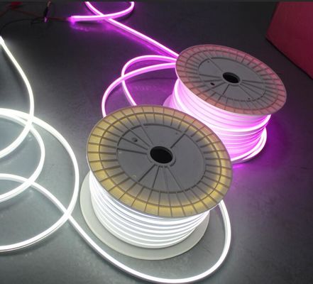 Segno personalizzato di alta qualità 12V impermeabile micro dimensione 5mm Led Neon Light Flex luci a corda rosa viola