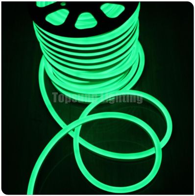 SMD 2835 luce al neon a led 12V corda flessibile all'aperto resistente all'acqua luce a neon a led a striscia verde