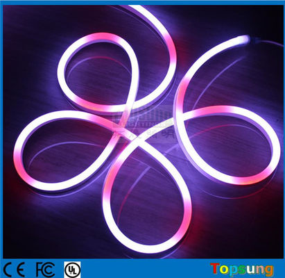 24V/12V Full Color programmabile Smart Digital doppio lato 5050 Pixel RGB Led Neon Flex