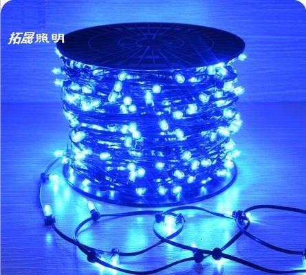 Fabbricante di alberi di Natale IP65 LED String Lights 12V LED Clip Light per l'Australia