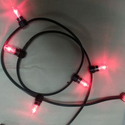 12v a bassa potenza LED clip light 100m/roll luci di Natale led string luci rosse di riso string 666 lampadine