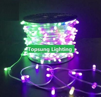 Albero di Natale all'aria aperta Decorativo Luce String 100m 666leds cambia colore 12V LED Clip luci