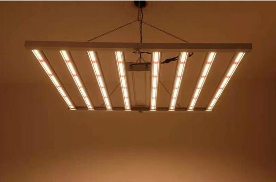 Luci progressive a LED per interni da 600 W a spettro completo Mix Cree 660nm Lampada per coltivazione a LED per piante